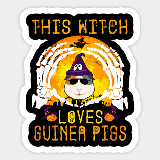 This Witch Loves Guinea Pigs Halloween (136) Sticker